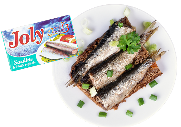 sardine